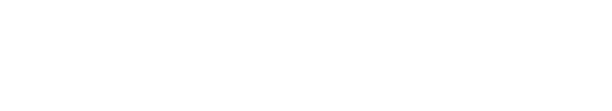 Dioscuri Press